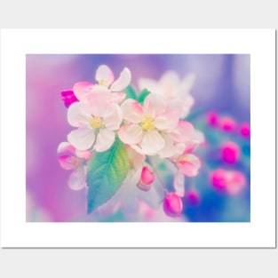 Pretty Pink Petals Posters and Art